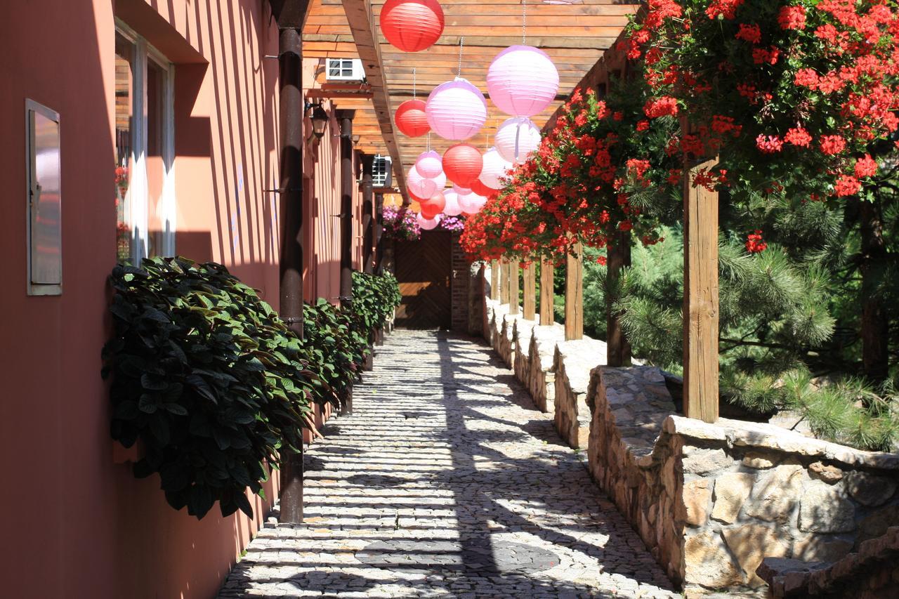 Hotel Restauracja Pustelnik Wisla Mala Buitenkant foto